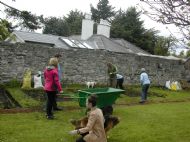 Polytunnel 12